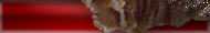 Blog “Monaco Felice”. Studio of 3D graphics & design “Monaco Felice”.